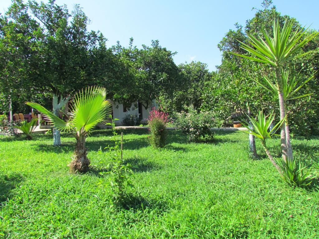 Çıralı Safir Pansiyon מראה חיצוני תמונה